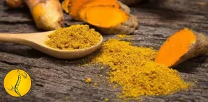 داروی گیاهی برای دیسک کمر