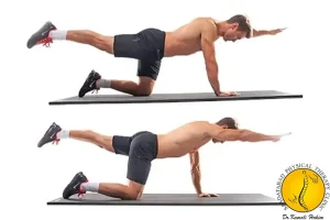 برد داگ برای دیسک کمر