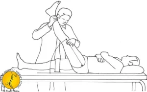 حرکت SLR برای دیسک کمر