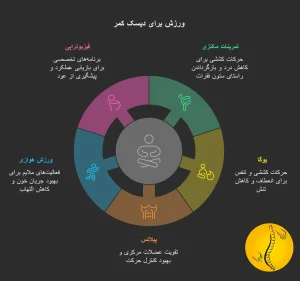 اینفوگرافیک ورزش برای دیسک کمر