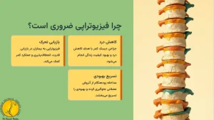 فیزیوتراپی بعد از عمل دیسک کمر - (رعایت 3 مورد بعد از عمل دیسک کمر) 2 چرا فیزیوتراپی ضروری است؟