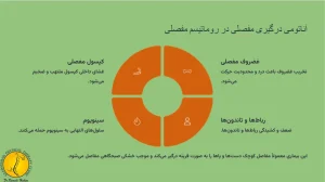 آناتومی درگیری روماتیسم مفصلی