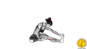 فیزیوتراپی زانو + نقش فیزیوتراپی - (5 روش درمان زانو درد) 12 تمرین زانو درد و کشش همسترینگ